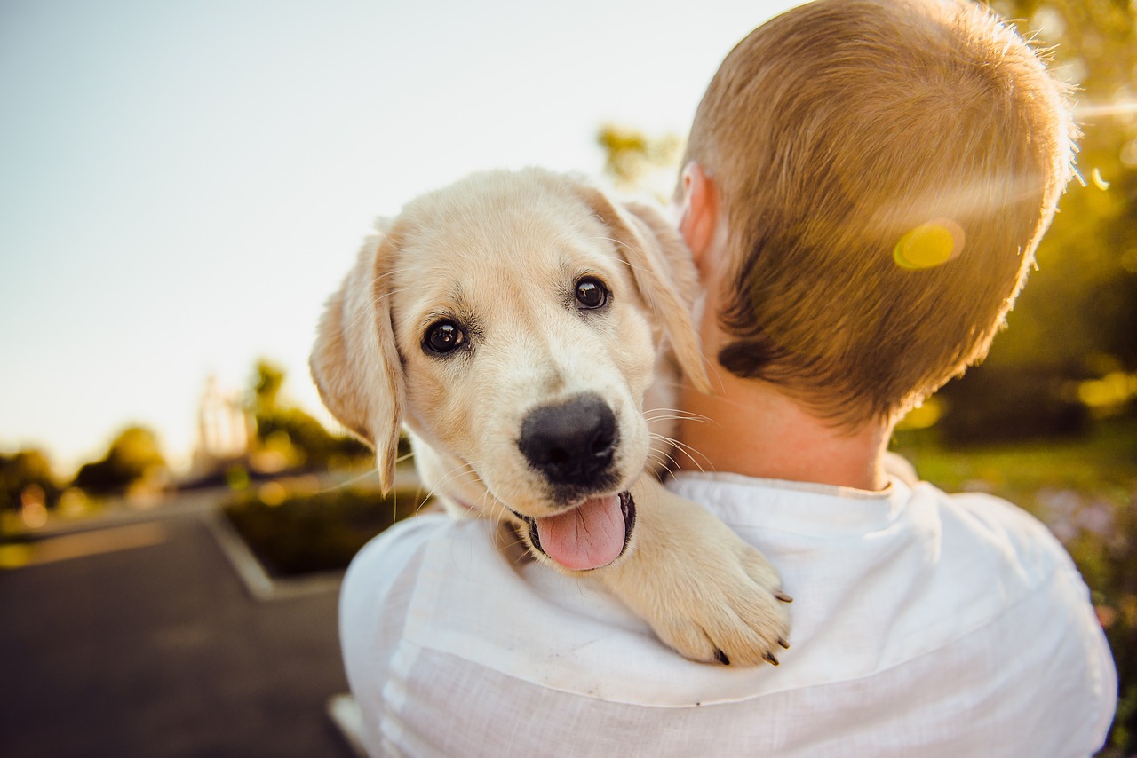 men hugging a brown puppy